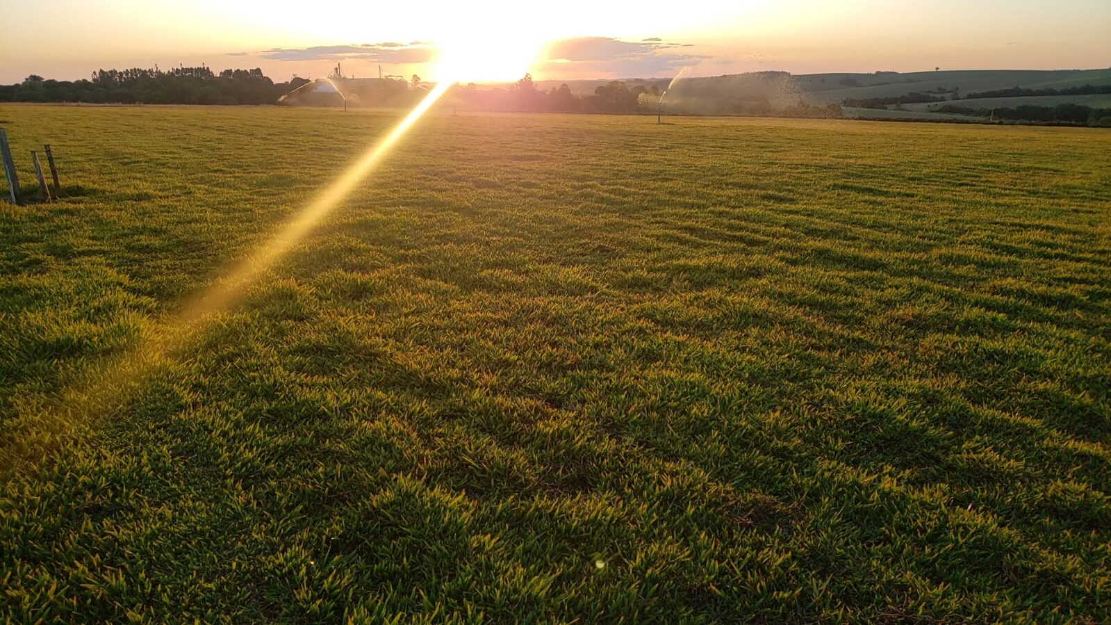Lavoura de Produção